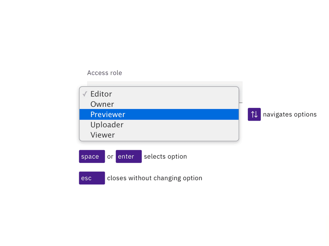 illustration showing an open select with the focus on the Previewer option while the Editor option is already selected